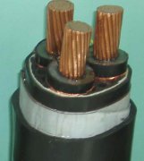 YJV-10KV高压电力电缆（含高压铠装电缆）