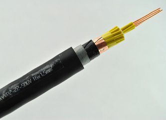 铠装控制电缆 ZRKVVP22 2*1.5