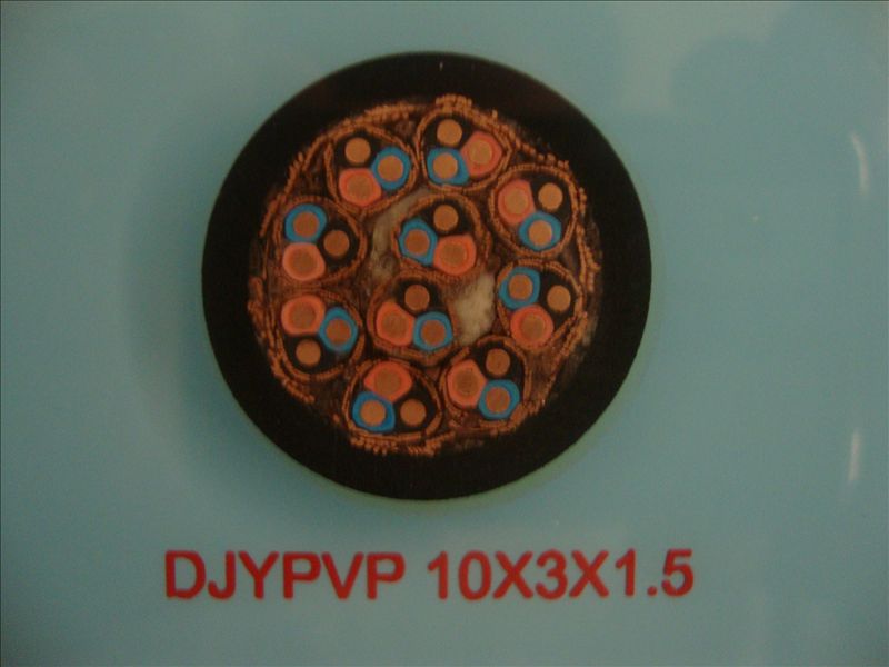 DJYPVP 10*3*1.5 计算机屏蔽电缆
