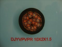 DJYVPVPR 0.3/0.5KV 10*2*1.5 计算机屏蔽电缆