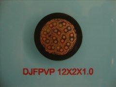 计算机电缆DJFPVP-12*2*1.0