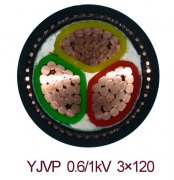 YJVP 3*120屏蔽电力电缆