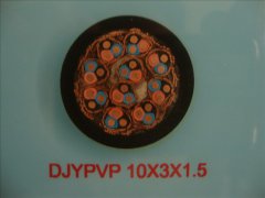 DJYPVP-10*3*1.5计算机电缆