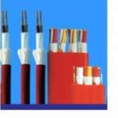 特种耐高低温-耐高压扁电缆 供应特种耐高低温电缆YGCB、YGCPB、YGVFB、YGVFP
